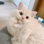 Avatar de Mateo Calleja