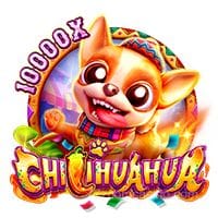 Chillihuahua